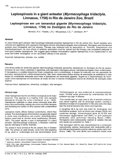 Leptospirosis in a giant anteater (Myrmecophaga tridactyla