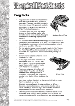 Frog facts - Wet Tropics Management Authority