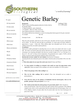 Genetic Barley - Southern Biological