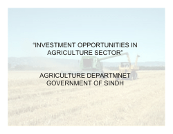 Investment Opportunities in Agriculture Sector