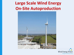 Large Scale Wind Energy On-Site Autoproduction