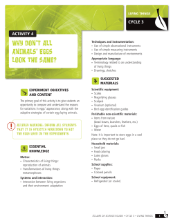 activity - &Eacute;clairs de sciences