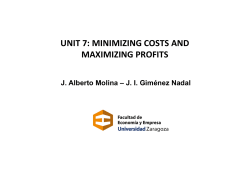 UNIT 7: MINIMIZING COSTS AND MAXIMIZING PROFITS
