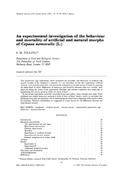 An experimental investigation of the behaviour