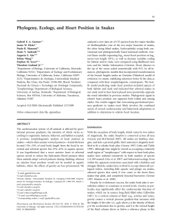 Phylogeny, Ecology, and Heart Position in Snakes