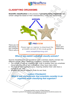 4SC09: Classifying Organisms