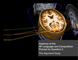 Anatomy: Argument Prompt