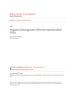 Sequence heterogeneity of bovine mitochondrial DNA