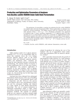 Production and Optimization Parameters of Amylases from Bacillus