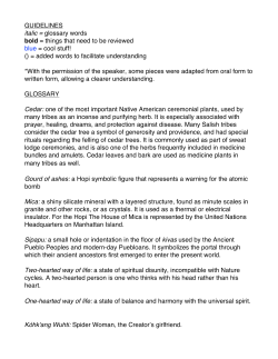 GUIDELINES italic = glossary words bold = things that need to be