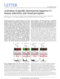 Activation of specific interneurons improves V1 feature selectivity