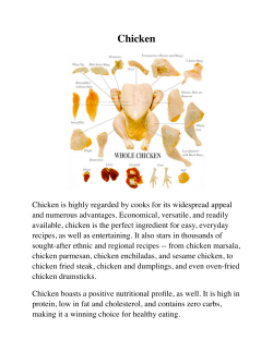 Chicken - Texas Halal