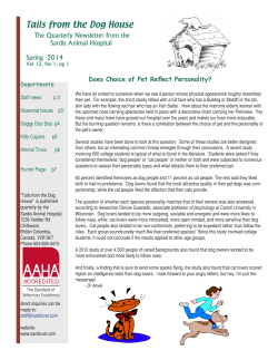 Tails from the Dog House