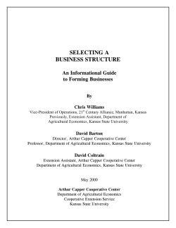 SELECTING A BUSINESS STRUCTURE