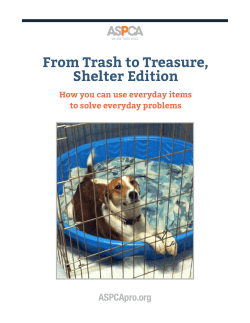 From Trash to Treasure, Shelter Edition