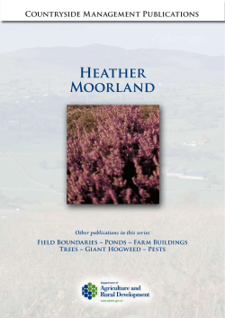 Heather Moorland (Northern Ireland)