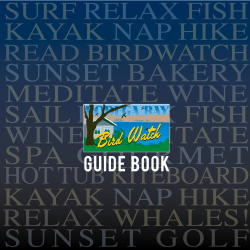 guide book - Bodega Bay Bird Watch