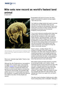 Mite sets new record as world`s fastest land animal