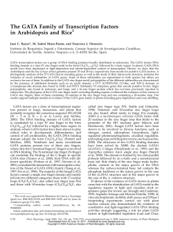 The GATA Family of Transcription Factors in
