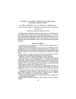 STUDIES ON ANTIBODY FORMATION BY