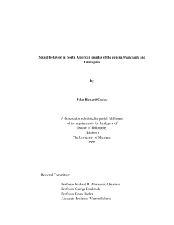 Cooley, J. R. 1999. Sexual behavior in North American cicadas of