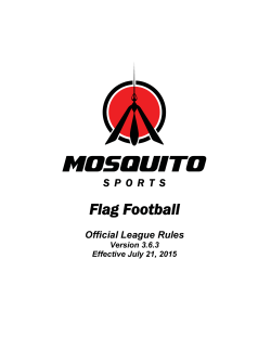 Flag Football - Mosquito Sports