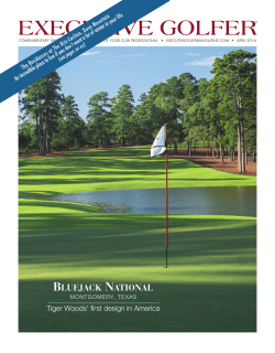 executive golfer - Bluejack National