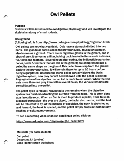 Owl Pellets - vanderbilt.edu