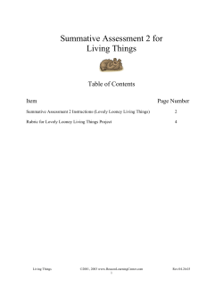 Summative Assessment 2 for