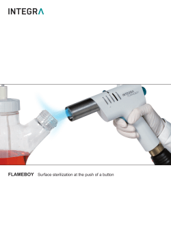Flyer FLAMEBOY - Handheld Bunsen Burner