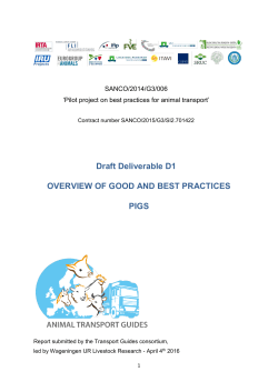 OVERVIEW OF GOOD AND BEST PRACTICES - Pigs