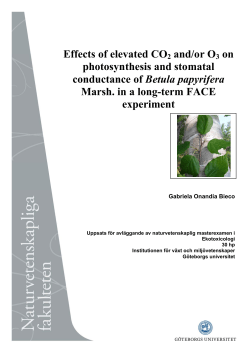 Effects of elevated CO2 and/or O3 on photosynthesis and stomatal
