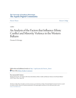 An Analysis of the Factors that Influence Ethnic Conflict and Minority