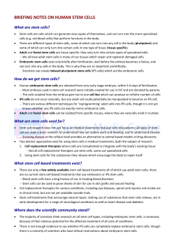 BRIEFING NOTES ON HUMAN STEM CELLS