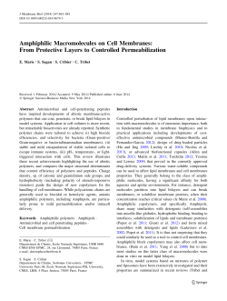 Amphiphilic Macromolecules on Cell Membranes: From Protective