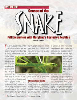 Snakes - AGNR Groups