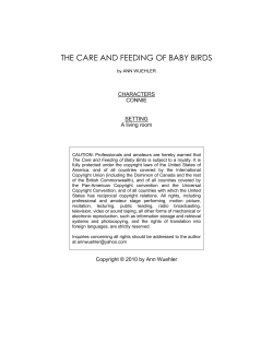 the care and feeding of baby birds - 10