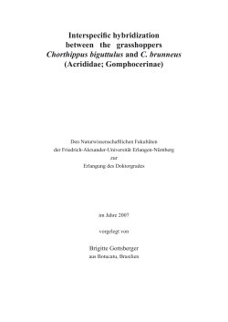 Interspecific hybridization between the grasshoppers Chorthippus