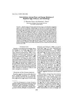 Interrelations Among Water and Energy Relations of Reptilian Eggs