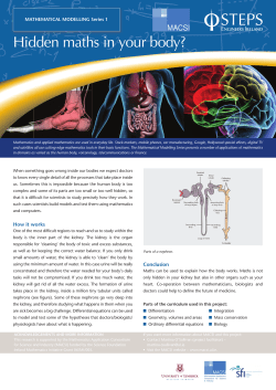 Hidden maths in your body? - STEPS