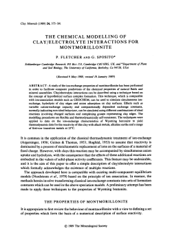 the chemical modelling of clay/electrolyte interactions for