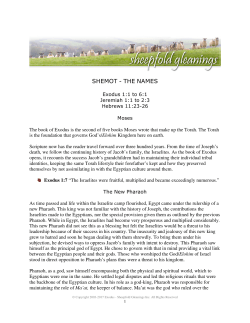 - Sheepfold Gleanings