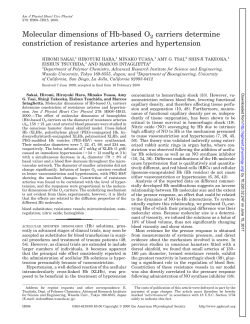 Molecular dimensions of Hb-based O2 carriers determine