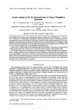 Genetic Analysis of H2, the Structural Gene for Phase