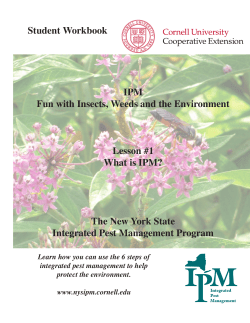 Fun with Insects, Weeds and the Environment: Teacher`s Guide