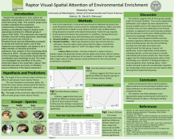 Hypothesis and Predic&ordm;ons Introduc&ordm;on Groups
