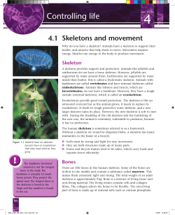 Biology Chapter 4 - Pearson Schools and FE Colleges