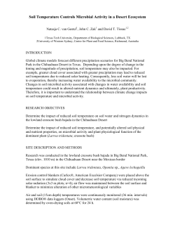 Soil Temperature Controls Microbial Activity in a Desert Ecosystem