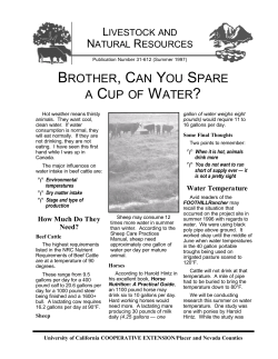 BROTHER, CAN YOU SPARE A CUP OF WATER?
