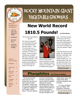 New World Record 1810.5 Pounds! By Chris Stevens